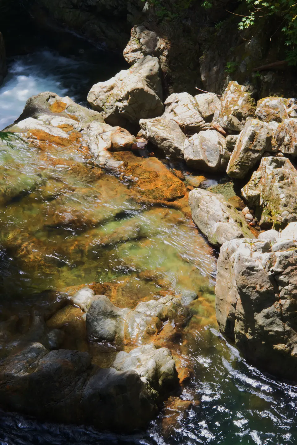 Lynn Creek running through a mossy canyon in Lynn Canyon Park