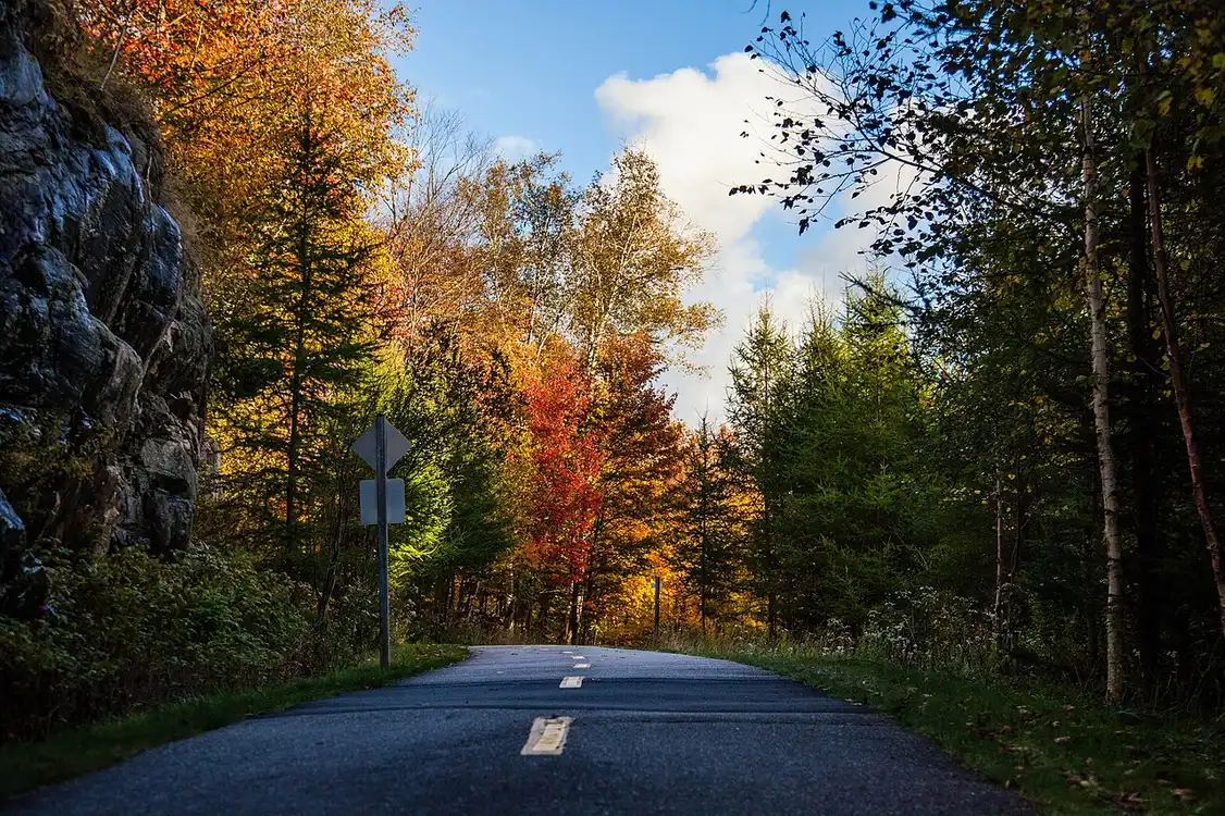 A narrow road through maple forest in full autumn colour near Mont-Tremblant