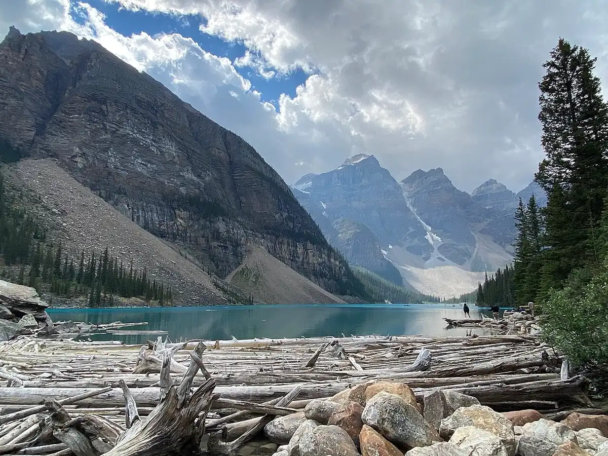Pale drift logs stacked along the shore of Moraine Lake with the peaks across the water
