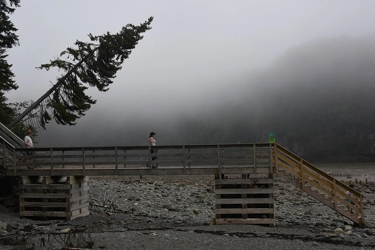 A wooden boardwalk crossing a rocky tidal beach in fog at Point Wolfe in Fundy National Park