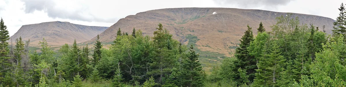 The bare rust-orange flat-topped Tablelands mountain rising behind a fringe of green spruce forest