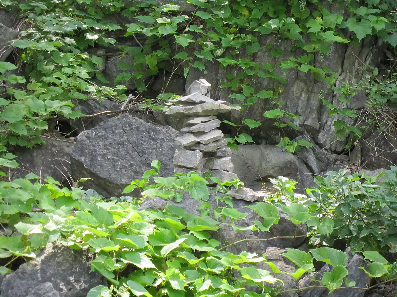 Boardwalk and viewing platforms along the Niagara River rapids on the White Water Walk