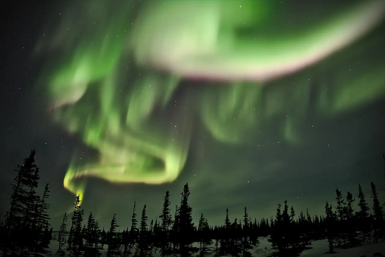 Green aurora swirling in curtains across a clear sky near Churchill, Manitoba