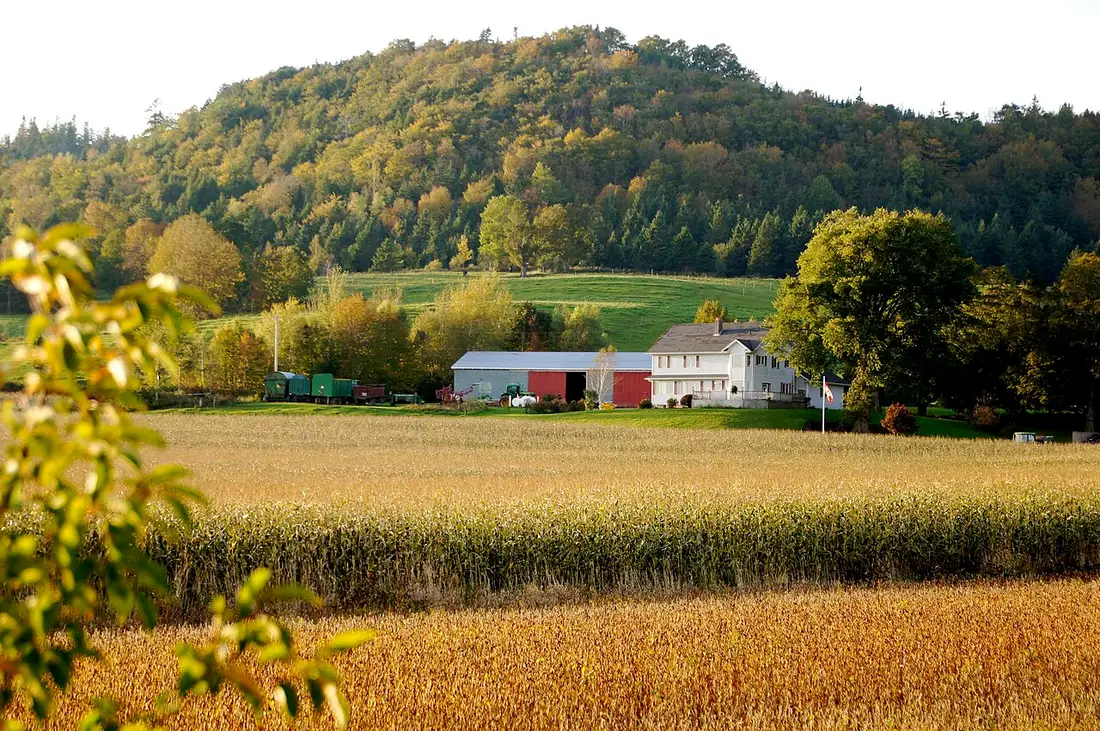 A Nova Scotia farm with a red barn and white farmhouse below a forested hill turning gold and orange in autumn