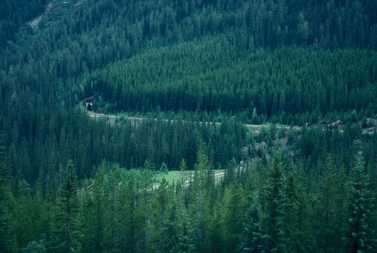 The Kicking Horse Pass National Historic Site marker on the Alberta side of the Continental Divide