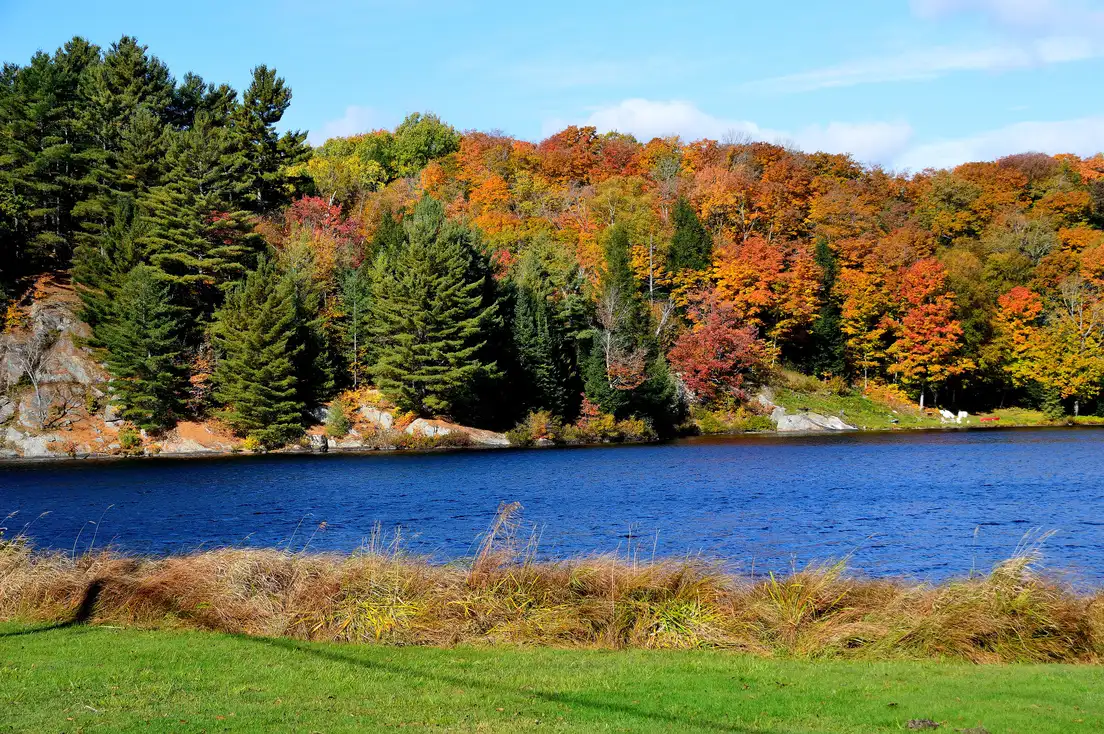 Lakes and forest turning red and gold in autumn near Huntsville in the Muskoka region of Ontario