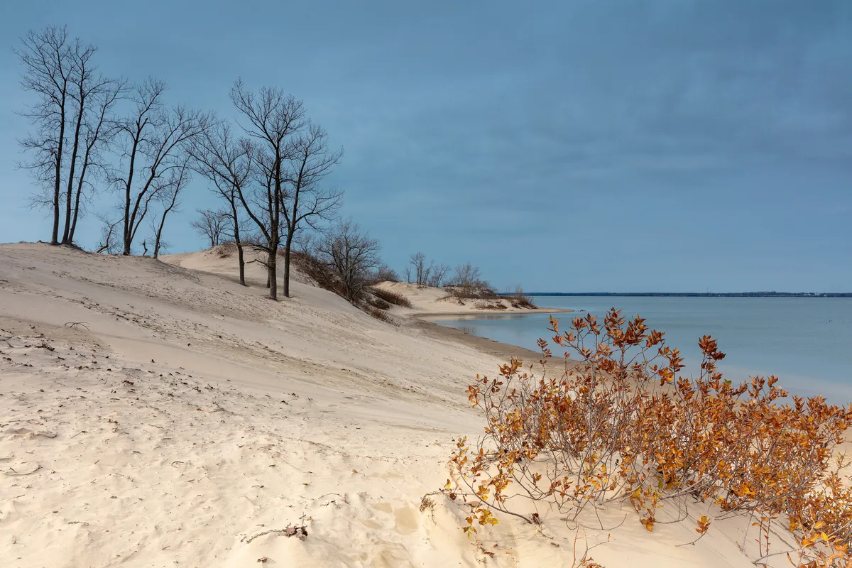 Grass-topped freshwater sand dunes above a beach at Sandbanks Provincial Park in Prince Edward County