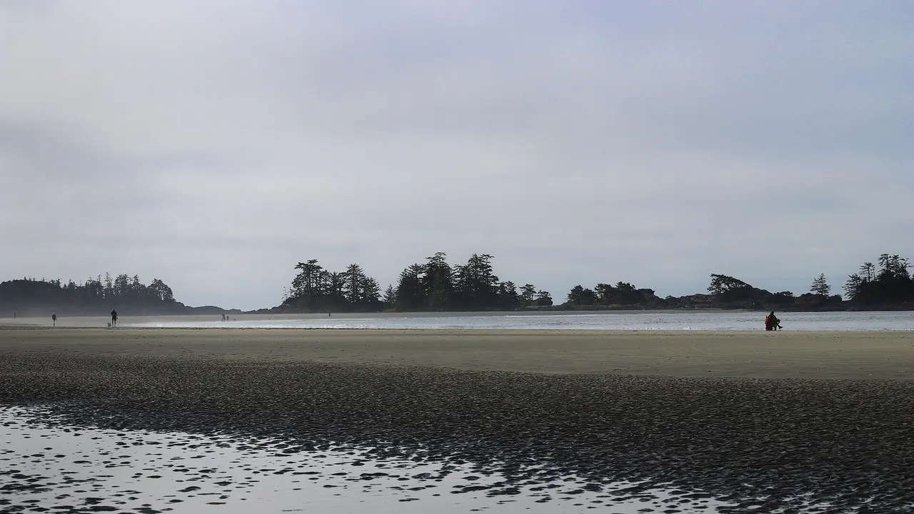 A wide sweep of low-tide sand at Long Beach with forested islets and the Pacific beyond in Pacific Rim National Park Reserve