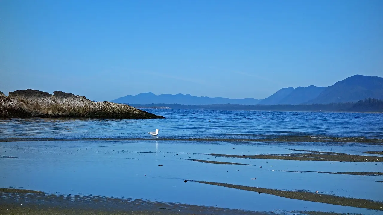 Wickaninnish Beach and its surf along Wickaninnish Bay in Pacific Rim National Park
