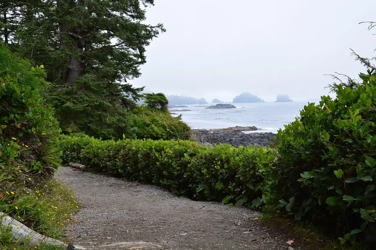 A gravel path with hedges leading to a rocky, misty coast with sea stacks on the Wild Pacific Trail near Ucluelet