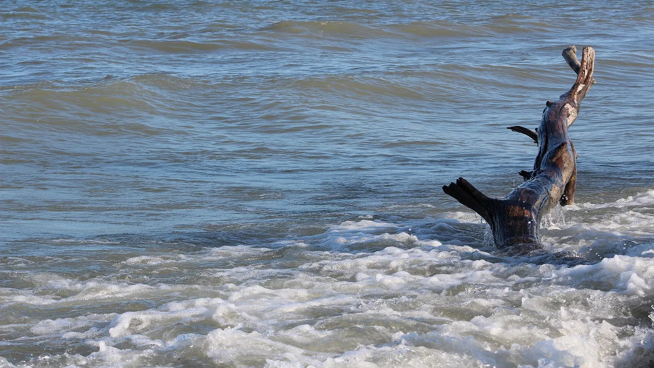 Lake Erie shoreline at the southern Tip of Point Pelee National Park