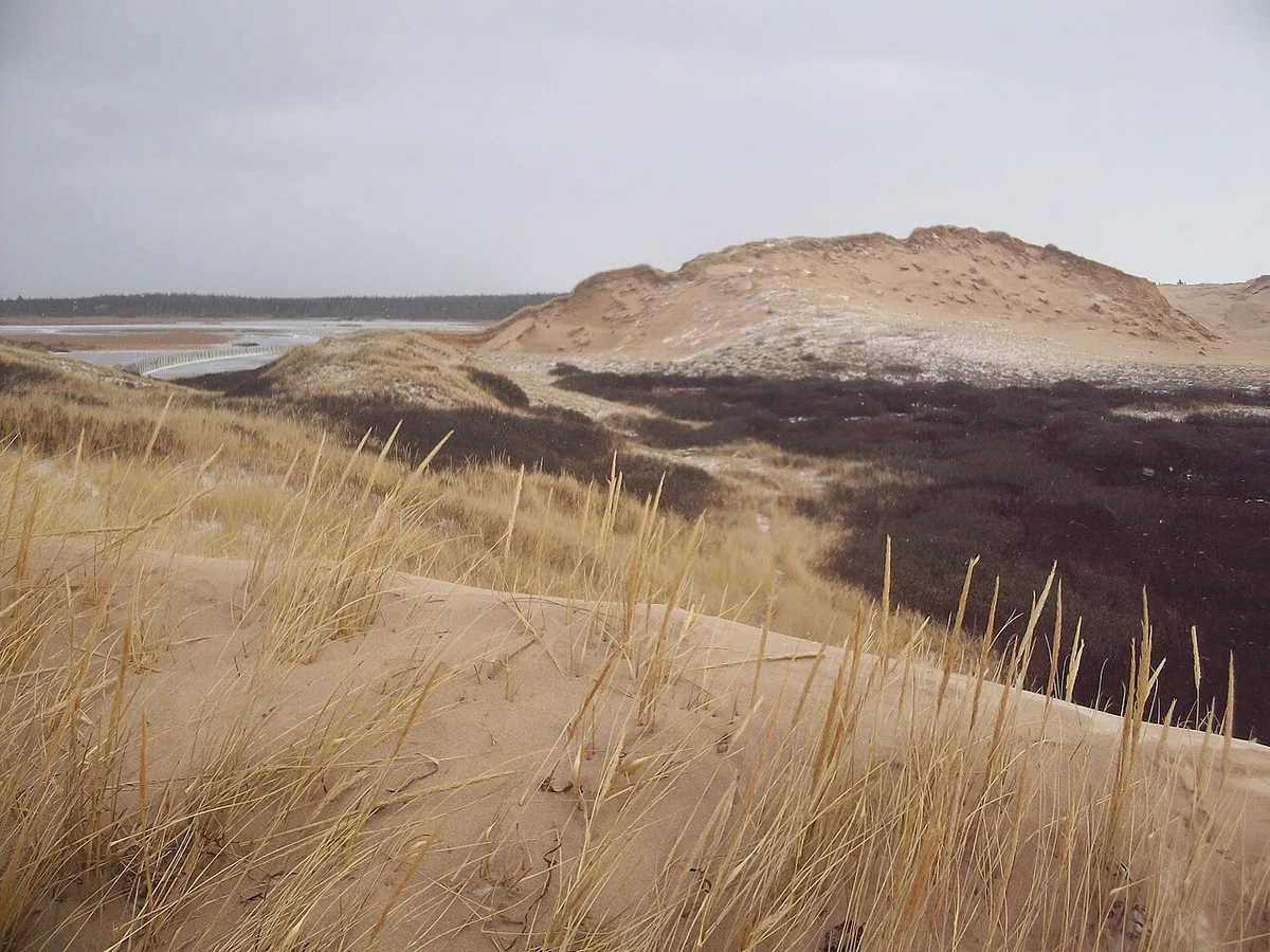 Rippled sand dunes topped with marram grass under a wide sky at Greenwich, Prince Edward Island
