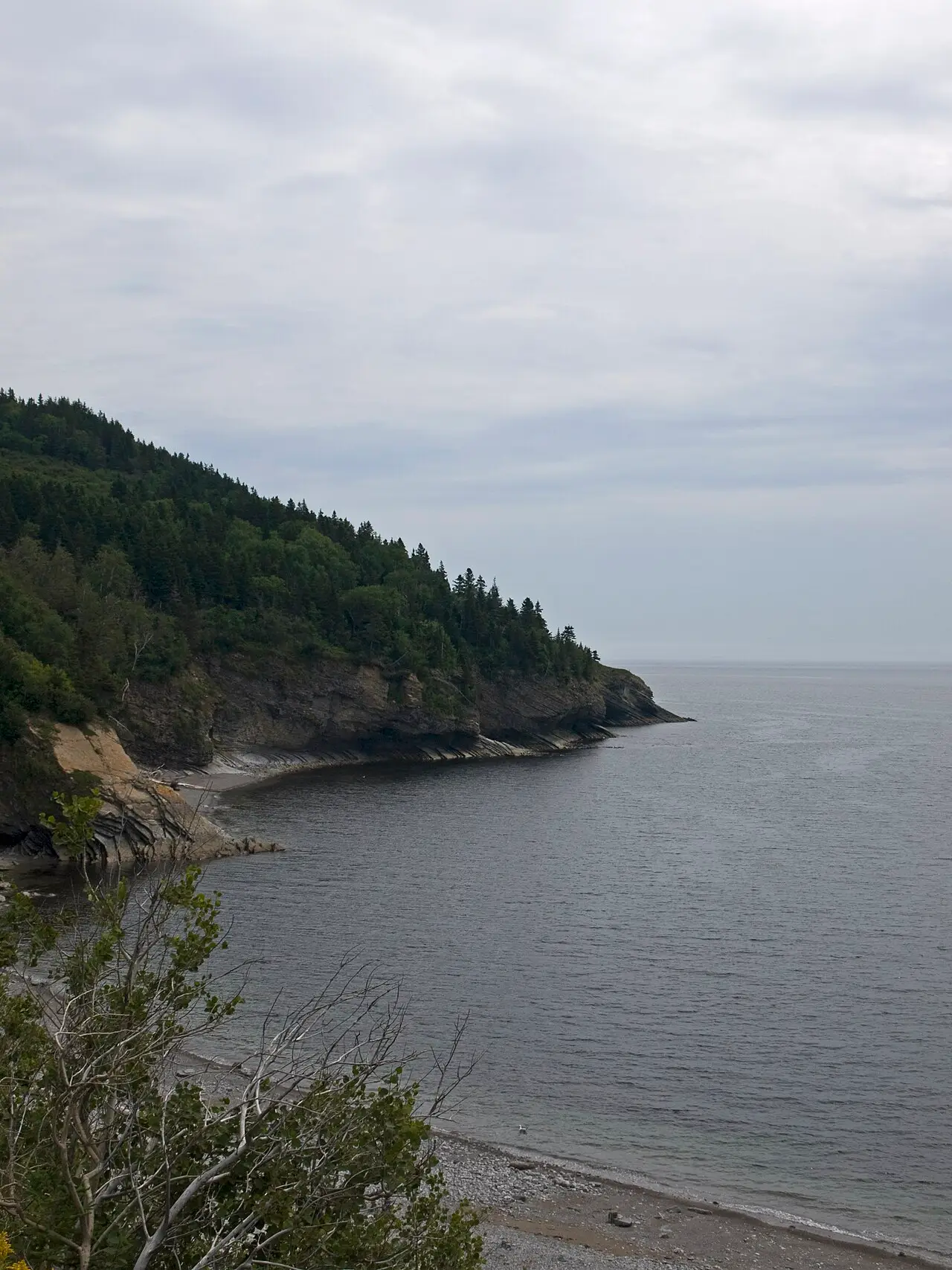 Cliffs and forest meeting the sea at Cap-Gaspé in Forillon National Park