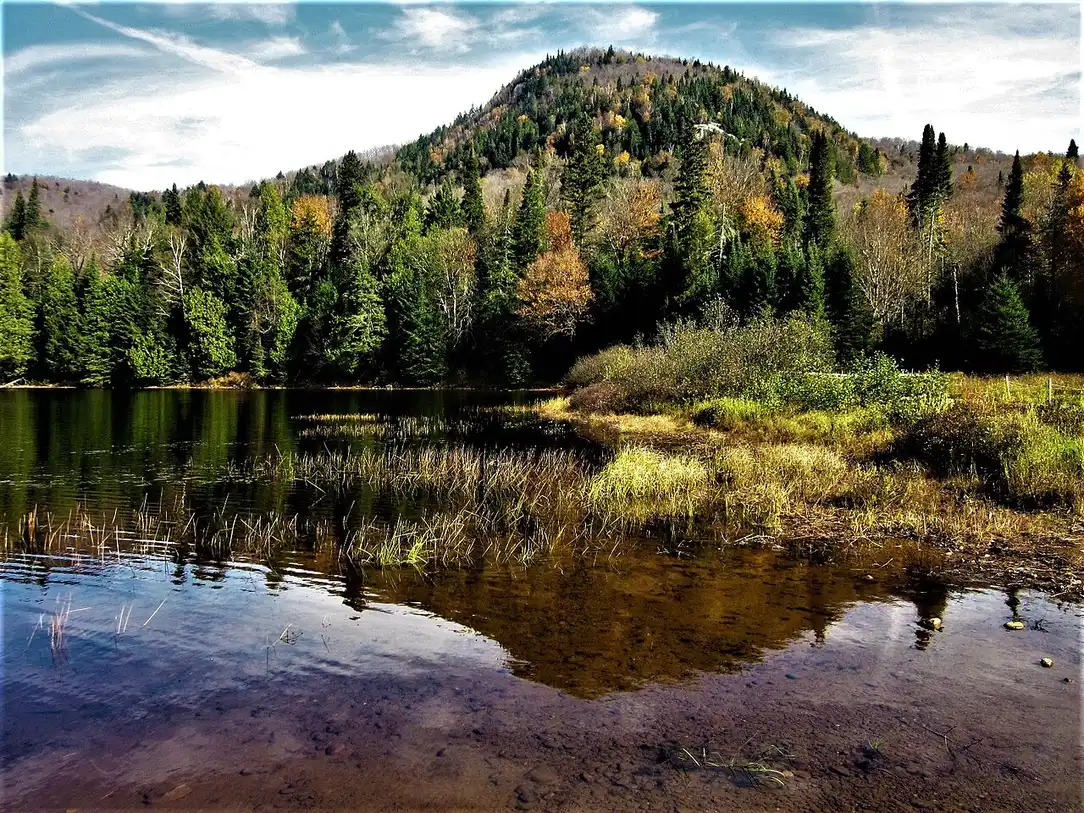 The forested shore of Lac Monroe in Mont-Tremblant National Park