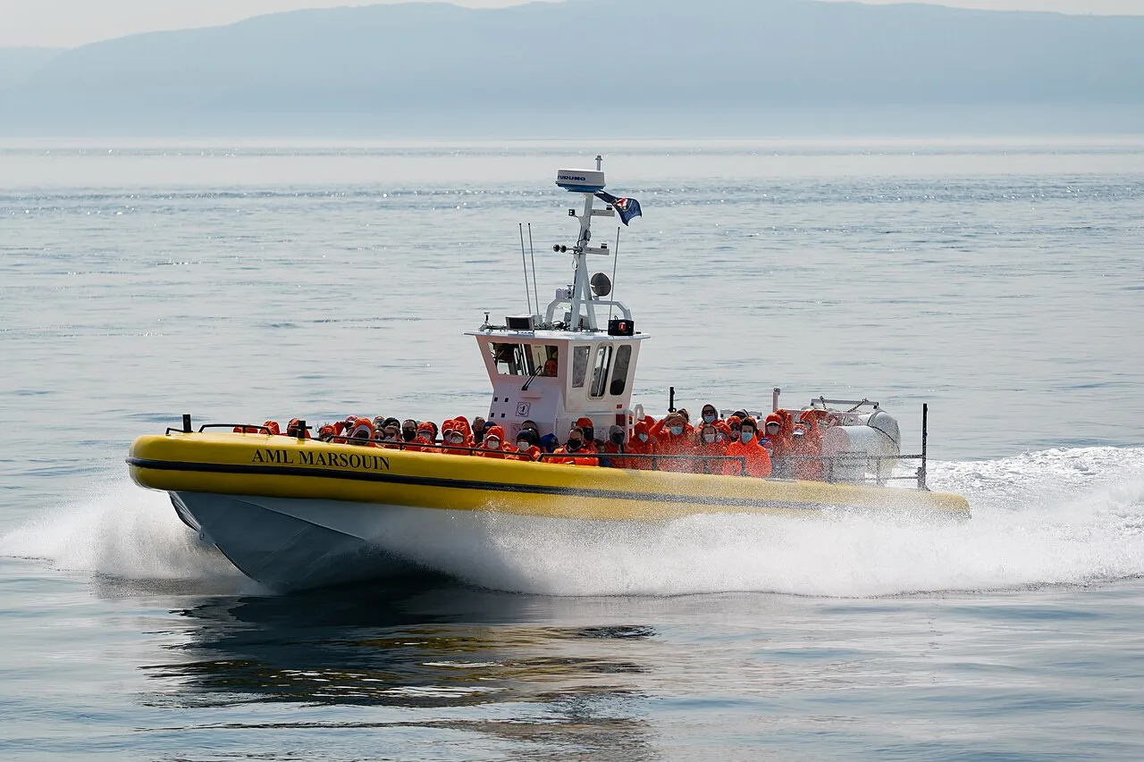 A whale-watching boat on the St Lawrence near Tadoussac