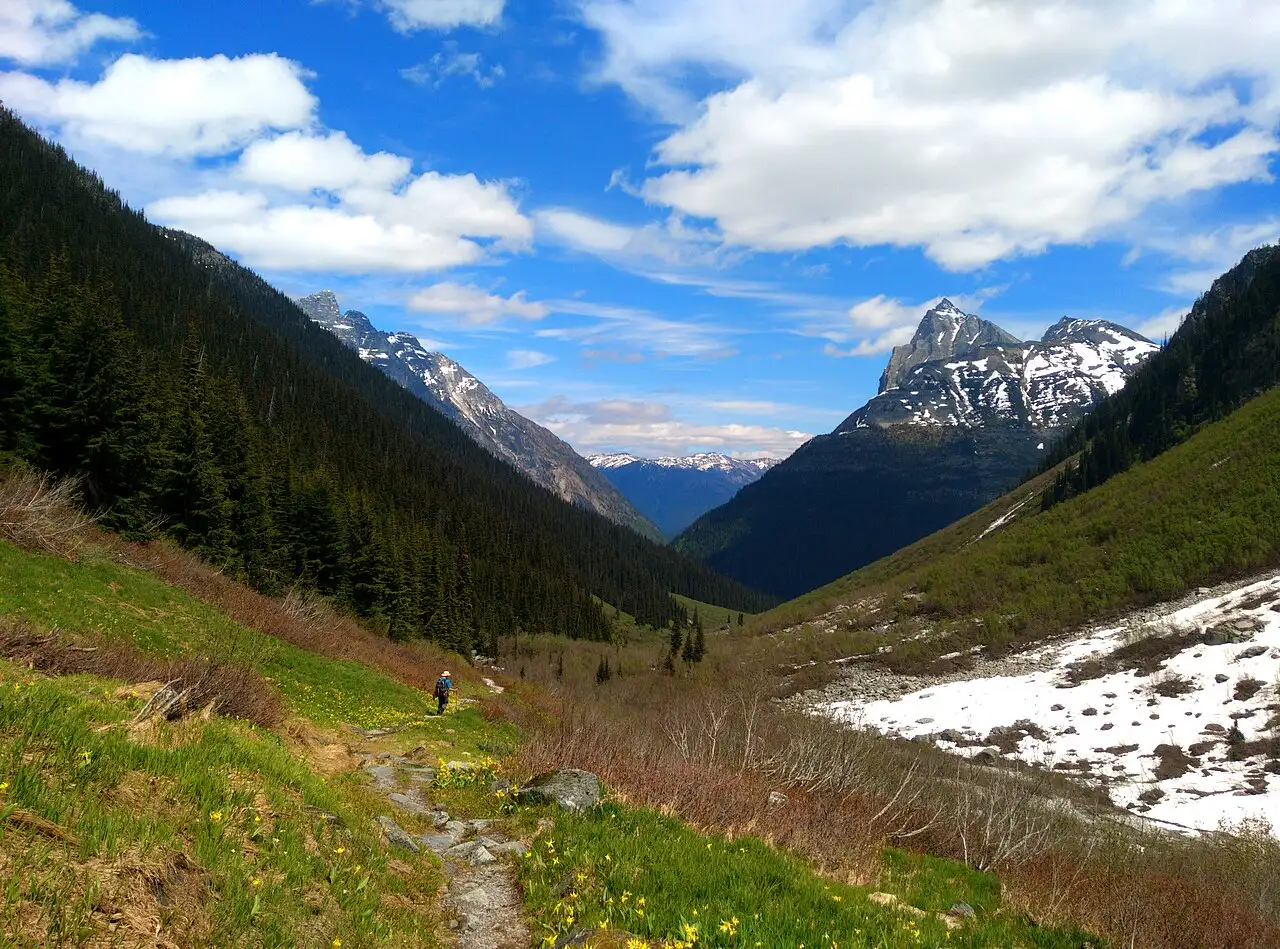 Alpine meadow and peaks along the Balu Pass trail in Glacier National Park