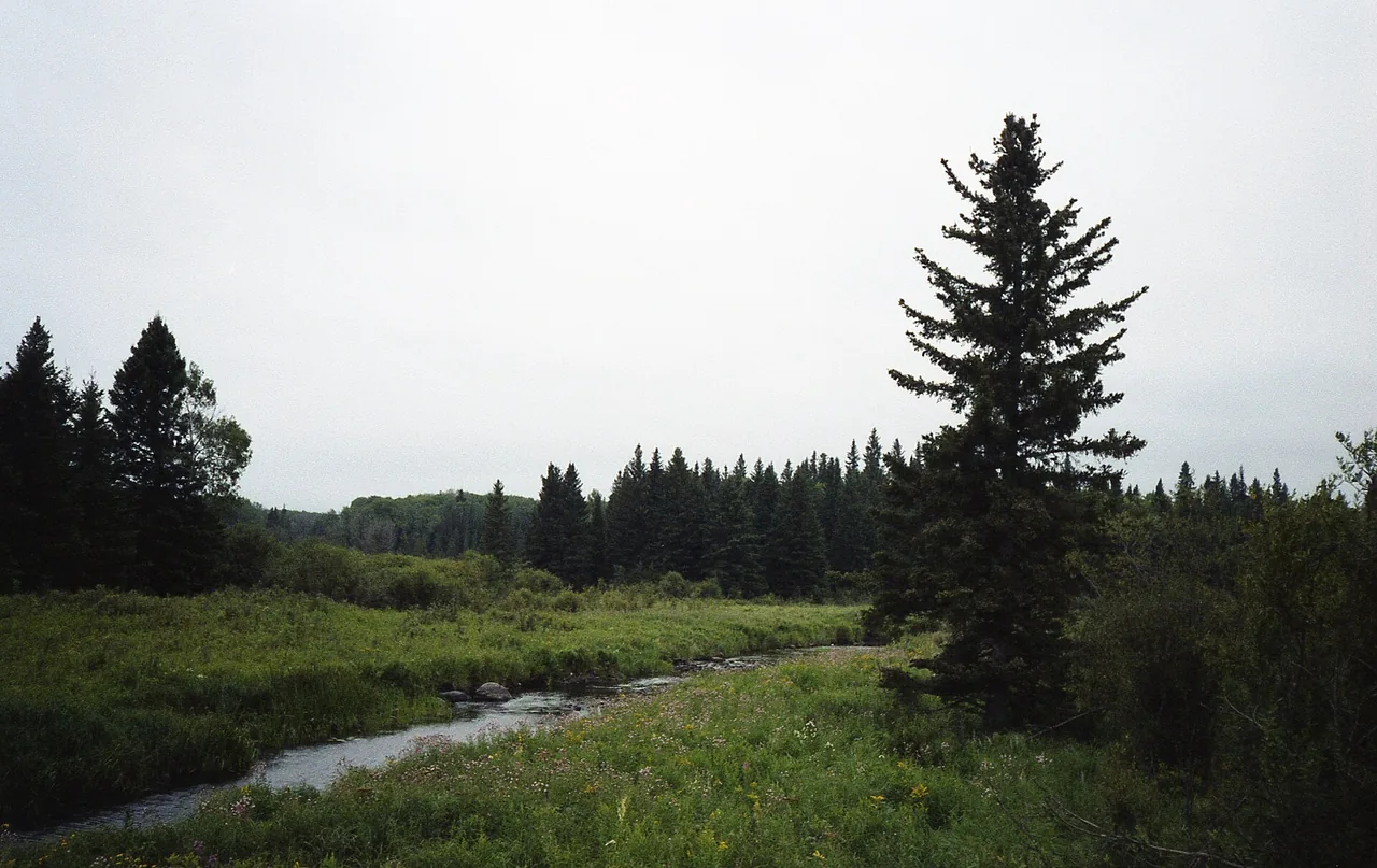 The main street and lakefront at Wasagaming in Riding Mountain National Park