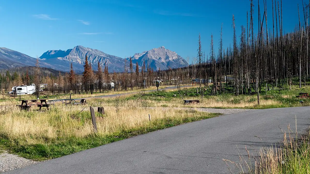 Standing burnt trees around cleared campsites at Whistlers Campground in Jasper National Park