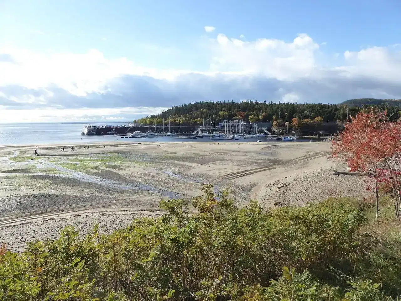 Rocky shore and forest along the Saguenay-St Lawrence Marine Park