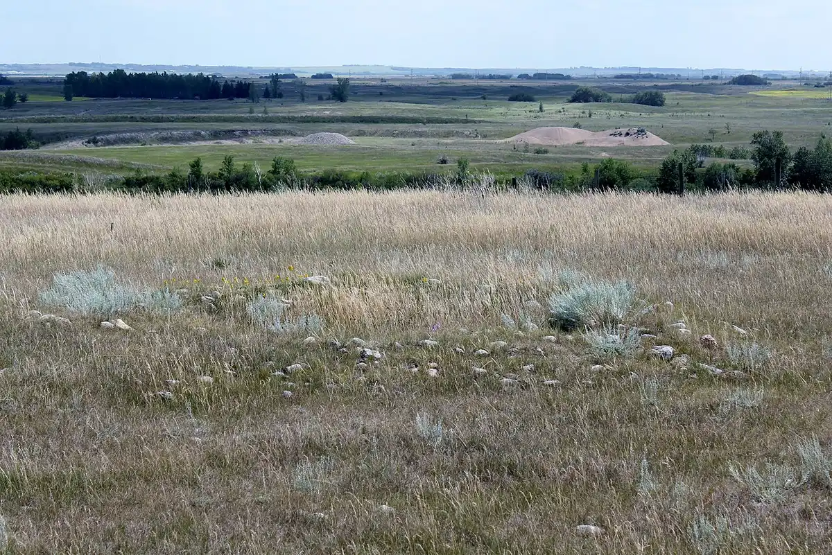 A stone medicine wheel laid out on the open prairie grass at Wanuskewin Heritage Park