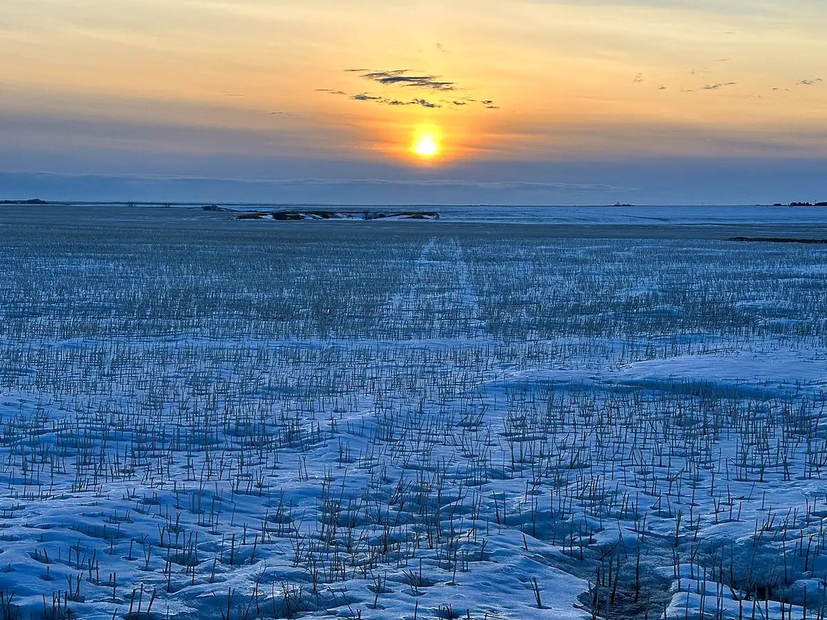 A vivid orange and pink prairie sunset spreading across the whole horizon under a huge Saskatchewan sky