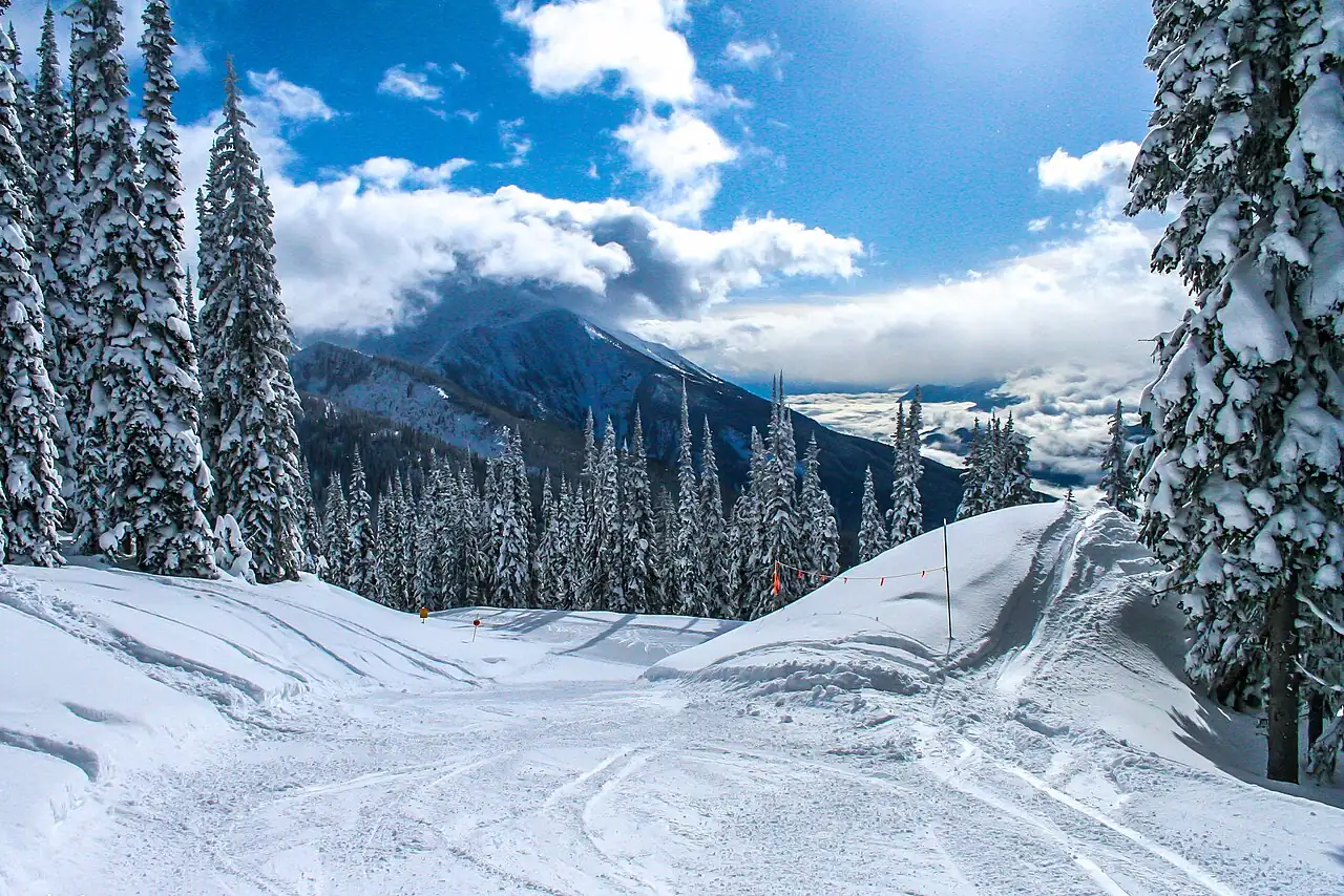 A groomed run at Revelstoke lined with heavily snow-laden trees, with cloud filling the valley below