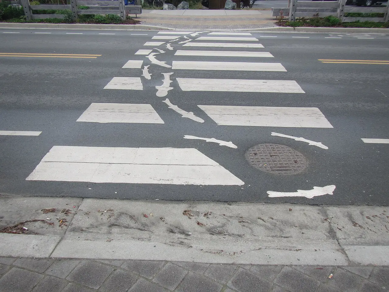 A brightly painted crosswalk on a Tofino street