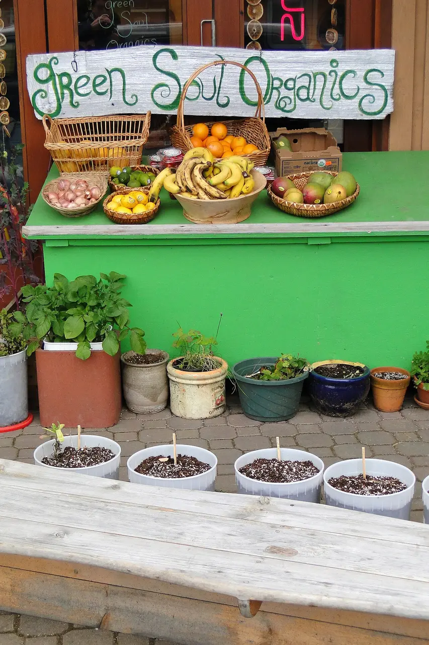 A small organic grocery storefront in Tofino
