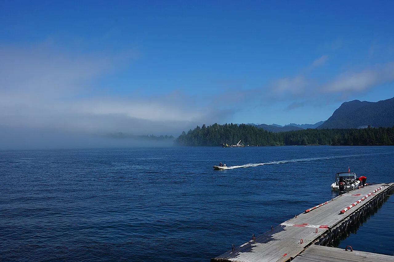 Morning fog rolling through Tofino harbour