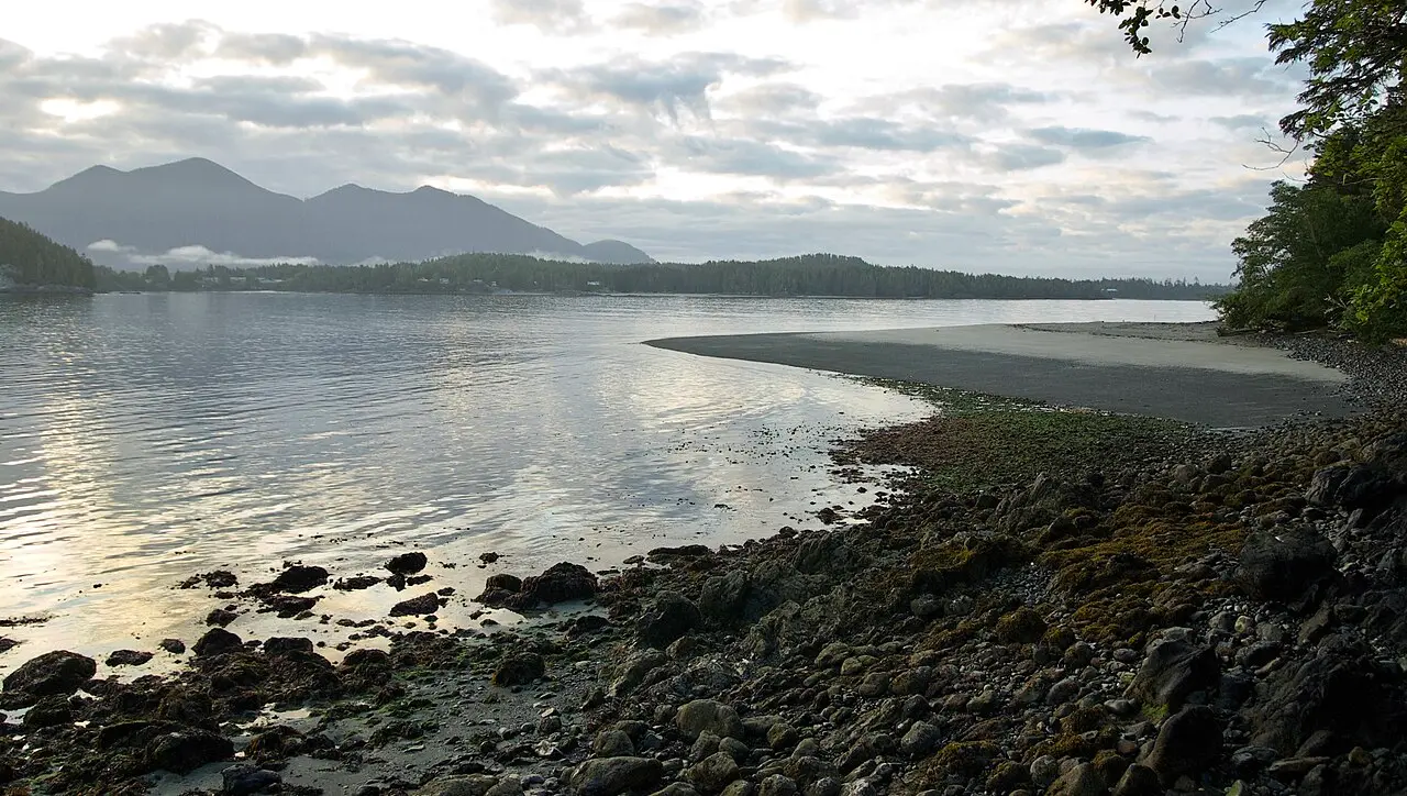 Exposed shoreline and islets at low tide in Clayoquot Sound