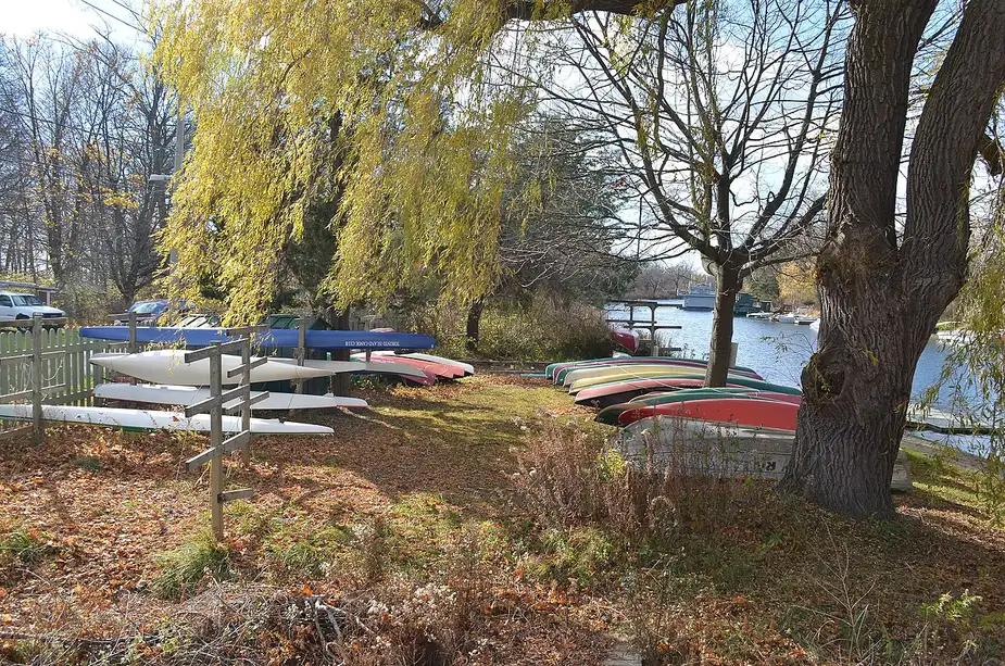 Colourful canoes lined up along a lagoon on the Toronto Islands