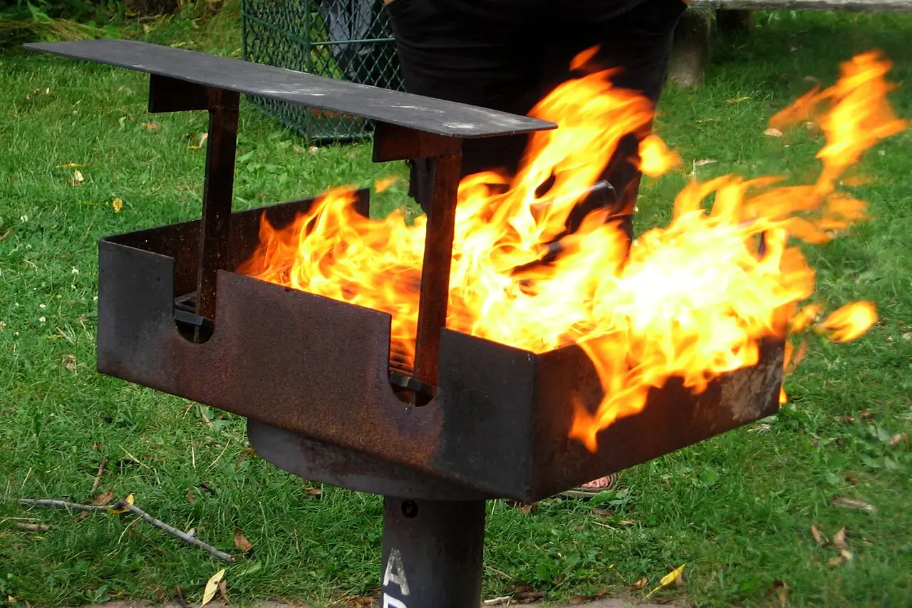 People barbecuing at a picnic spot on the Toronto Islands