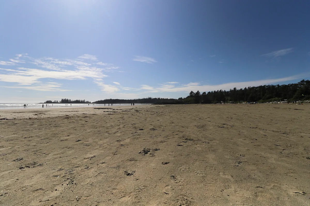 Surf rolling onto the wide sand of Long Beach with forested points beyond in Pacific Rim National Park Reserve
