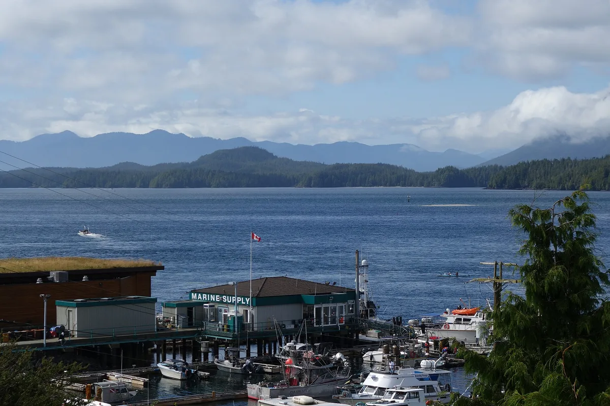 Fishing boats and floatplanes in the harbour at Tofino at the north end of the Pacific Rim coast