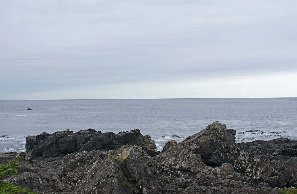 Rocky headlands and open ocean seen from the Wild Pacific Trail near Ucluelet