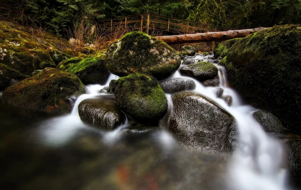 A waterfall dropping into a green pool surrounded by rainforest in Lynn Canyon Park