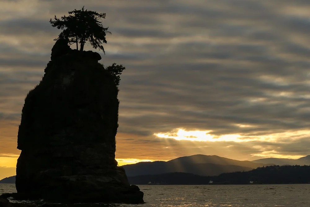 Siwash Rock, a sea stack topped by a single tree, rising from the water off the Stanley Park shore