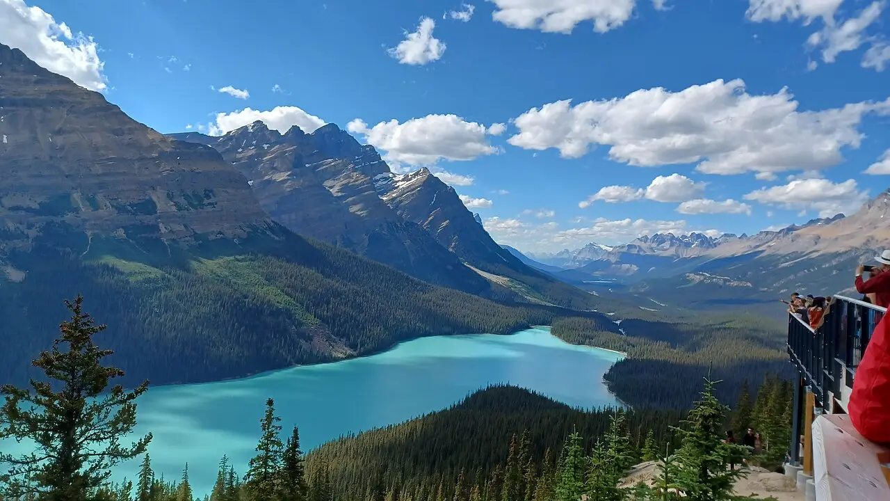 Peyto Lake lookout over the bright blue lake and surrounding peaks