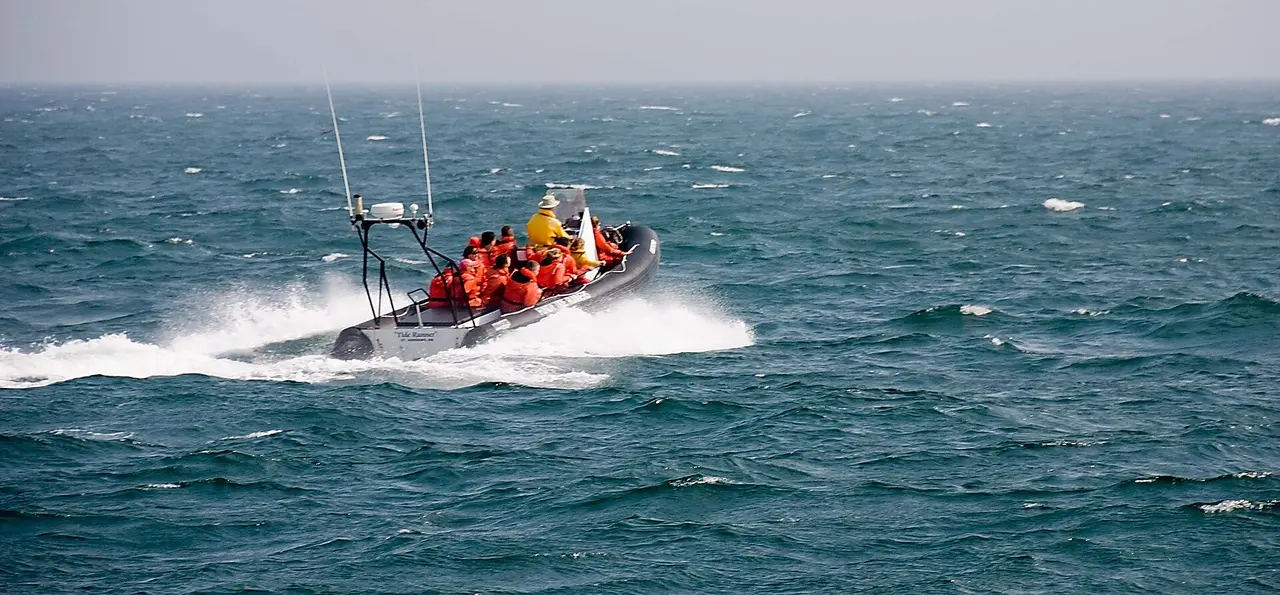 A rigid inflatable whale-watching Zodiac full of passengers in orange survival suits running through choppy water on Passamaquoddy Bay
