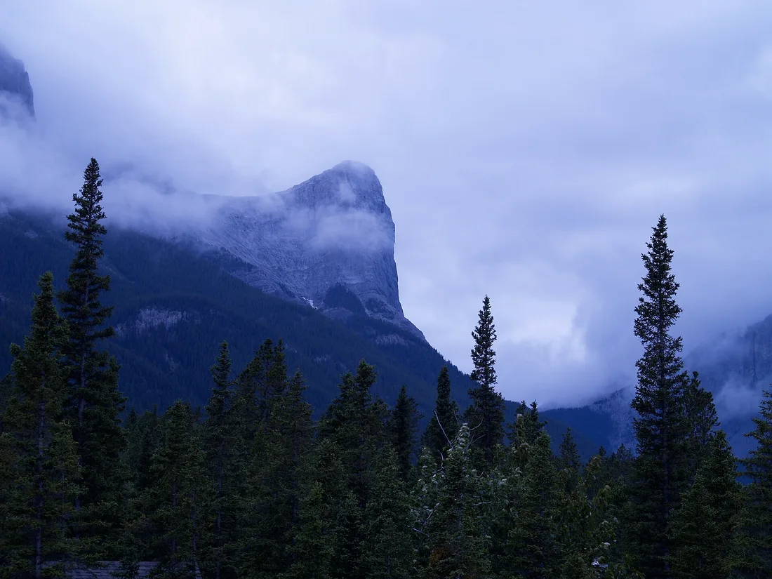 Ha Ling Peak rising into low cloud above a dark spruce forest near Canmore at dusk