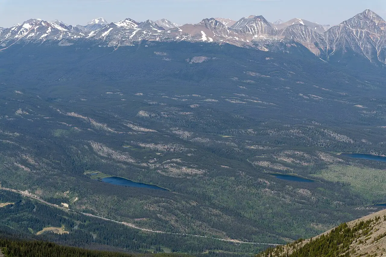 Small lakes scattered across the forested valley floor near Jasper, seen from a high viewpoint with mountains behind