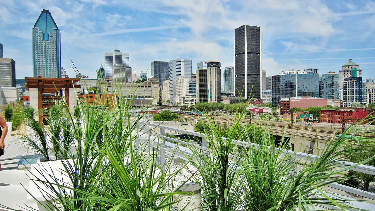 New condominium towers in the Griffintown district of Montreal
