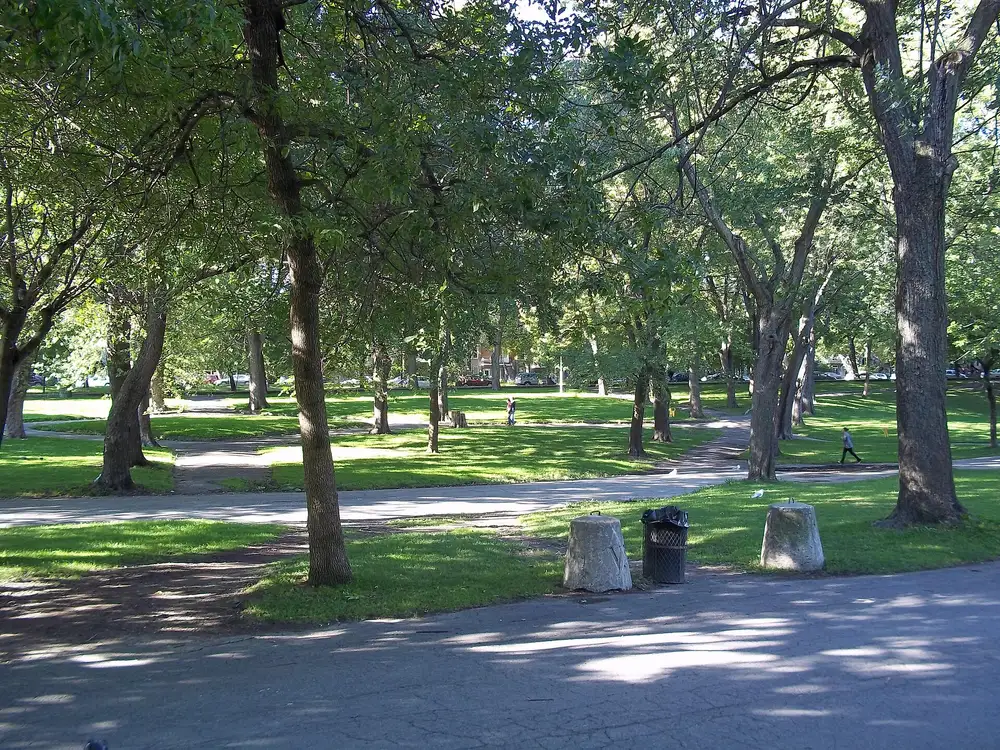 Parc La Fontaine with its pond and trees in the Plateau-Mont-Royal