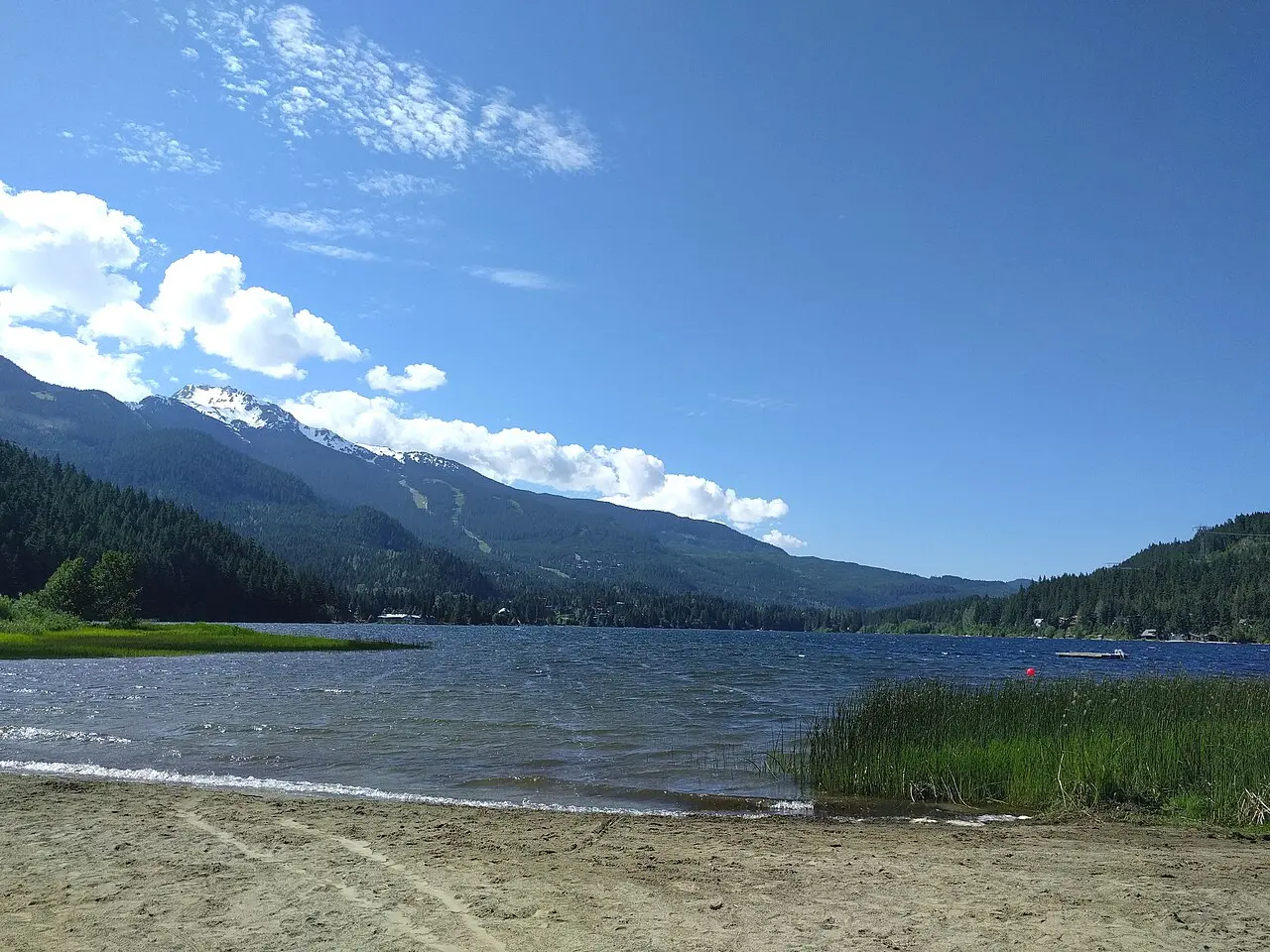 Calm water of Alta Lake with forested shores in Whistler
