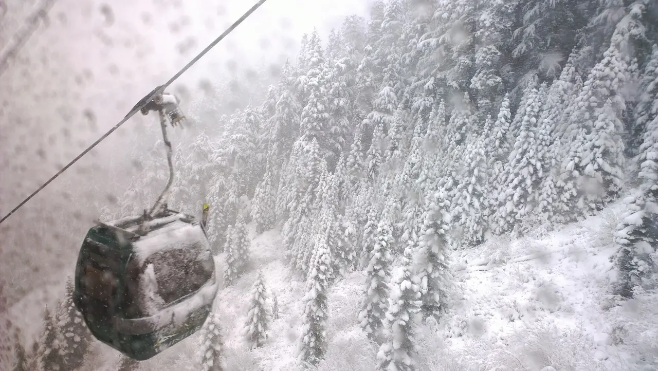 Fresh snow on the open slopes of Whistler Blackcomb under grey cloud