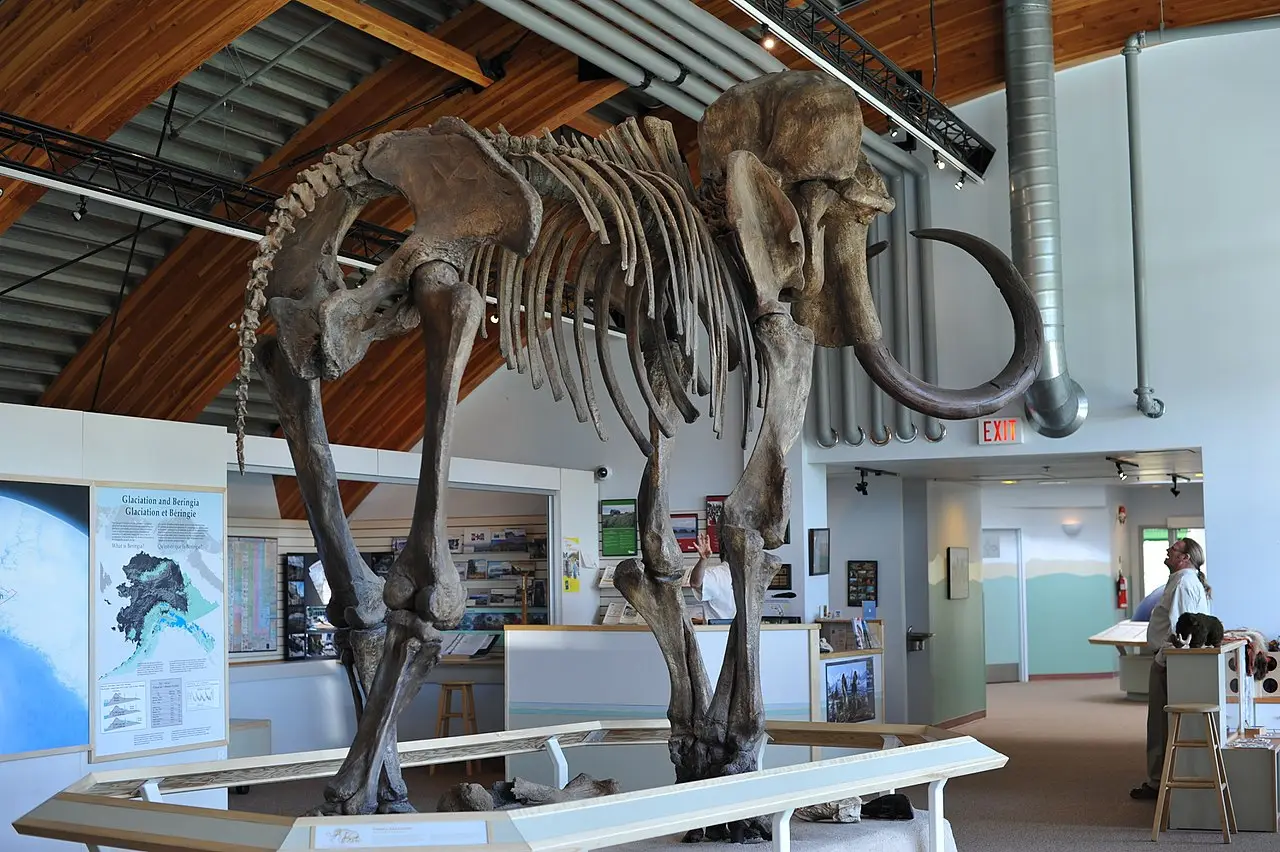 Life-size mammoth sculpture outside the Beringia Interpretive Centre