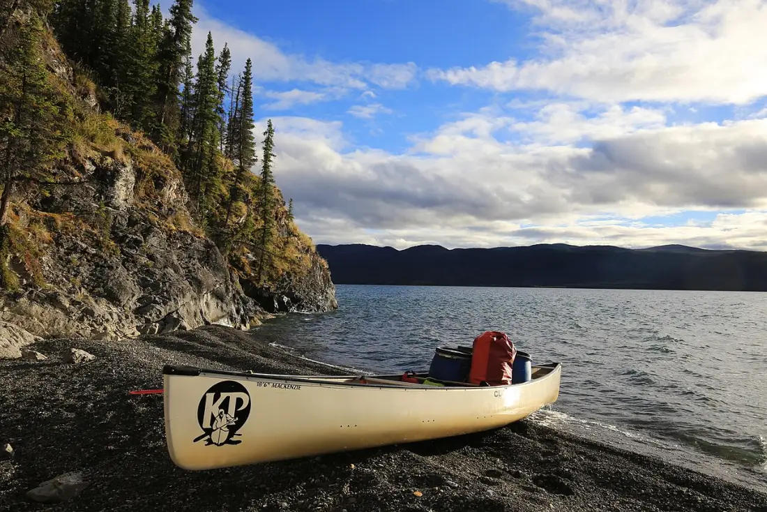 Canoeists on the Yukon River below forested banks near Whitehorse