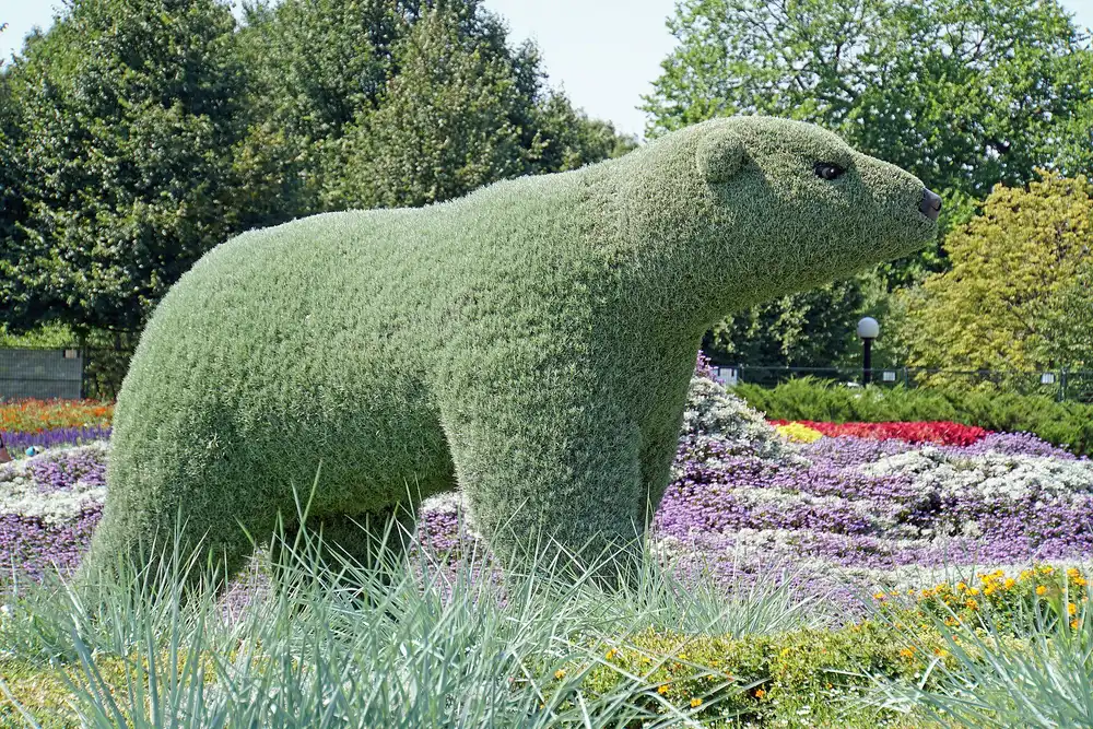 A polar bear topiary sculpture covered in greenery standing in a flower bed in Assiniboine Park