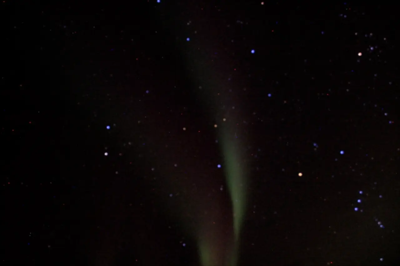 Green aurora band above a snowy treeline near Yellowknife