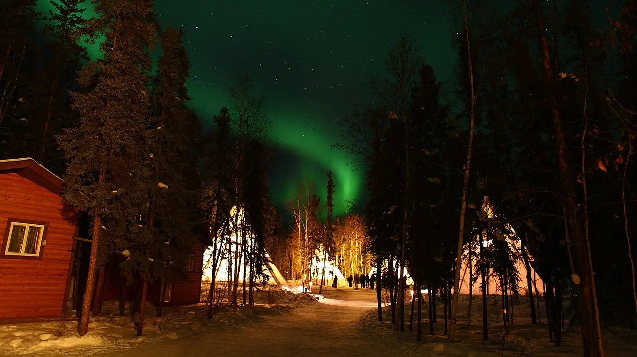 Green aurora curtains over snow and trees at Aurora Village near Yellowknife